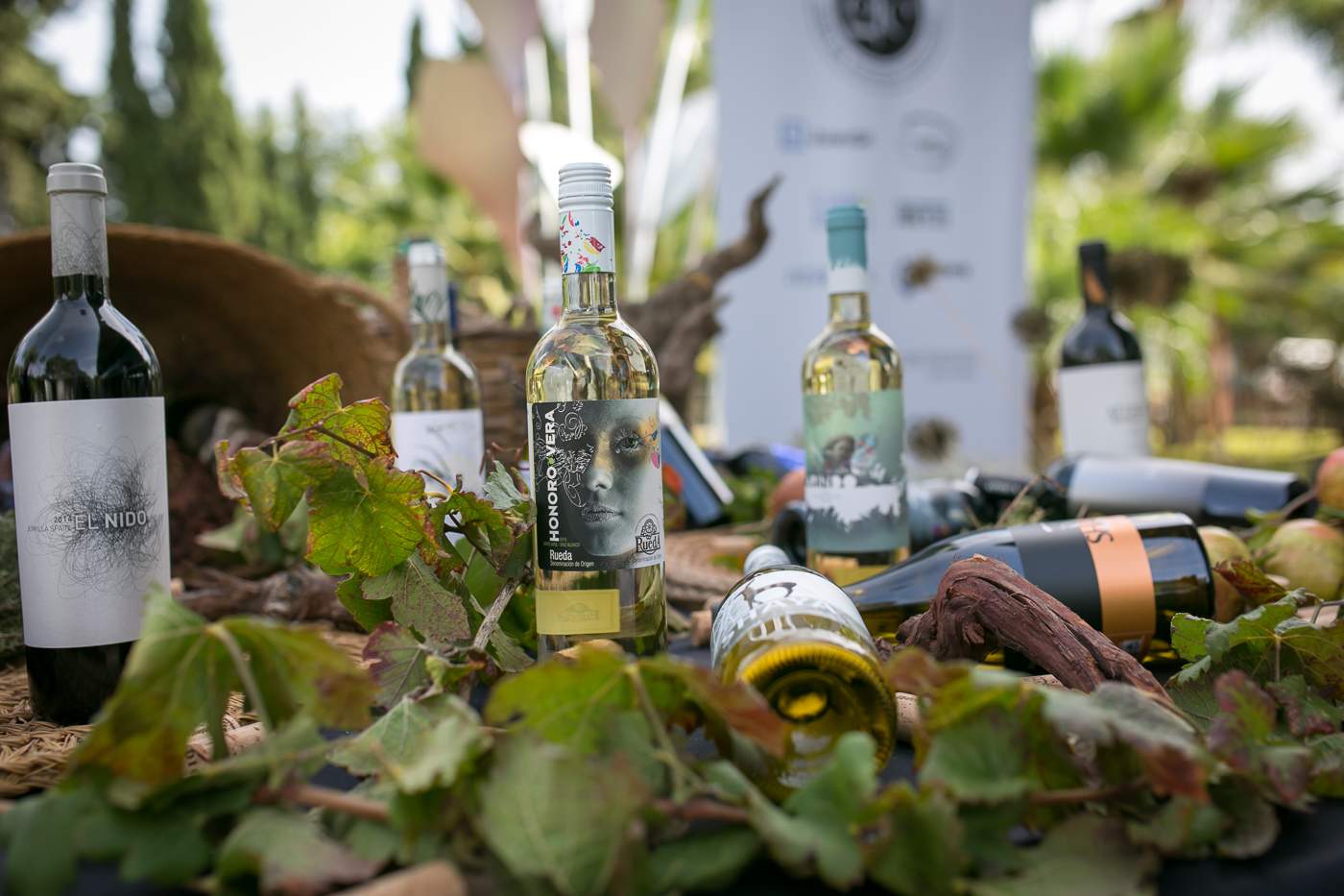 Fiesta de la Hostelería y del Turismo 2016 - Hostemur-2
