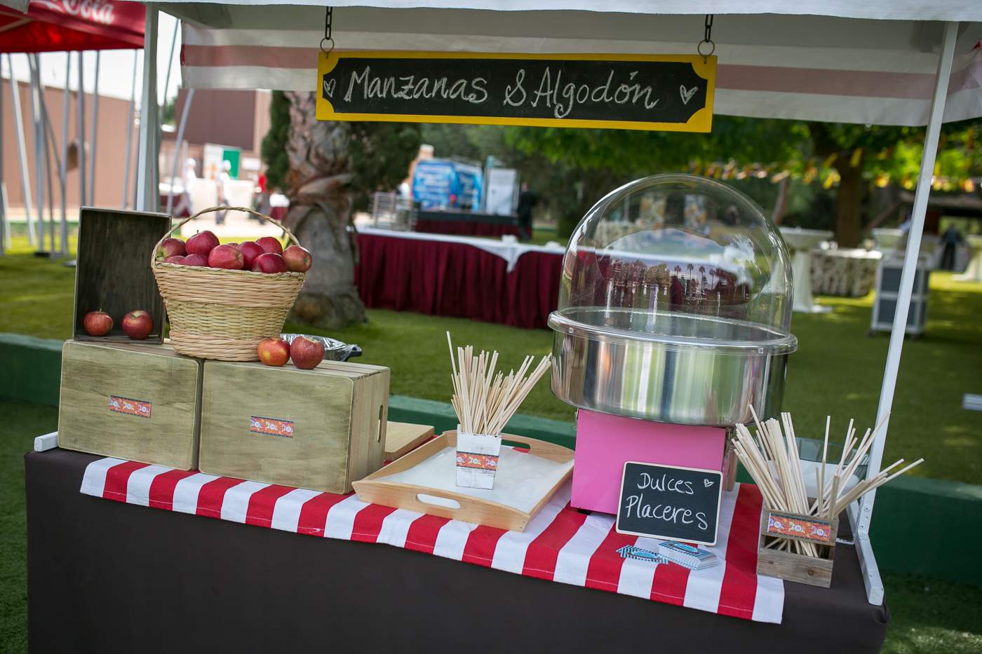 Fiesta de la Hostelería y del Turismo 2016 - Hostemur-6